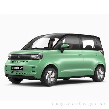 Chinese electric car BLAVAL high speed adult electric car RHD made in China high quality 2023 new energy car